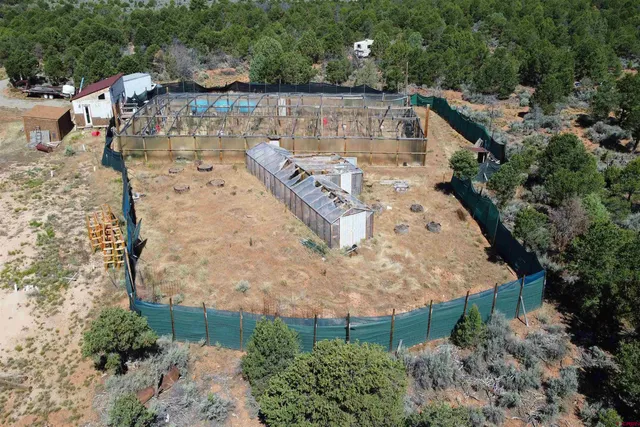 a view of a backyard with plants and lake view