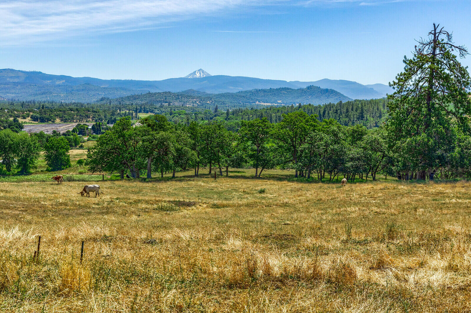2367 Brownsboro-Meridian Road Eagle Point, OR 97524 - Photo 41 of 49 05_BMH_5_mls