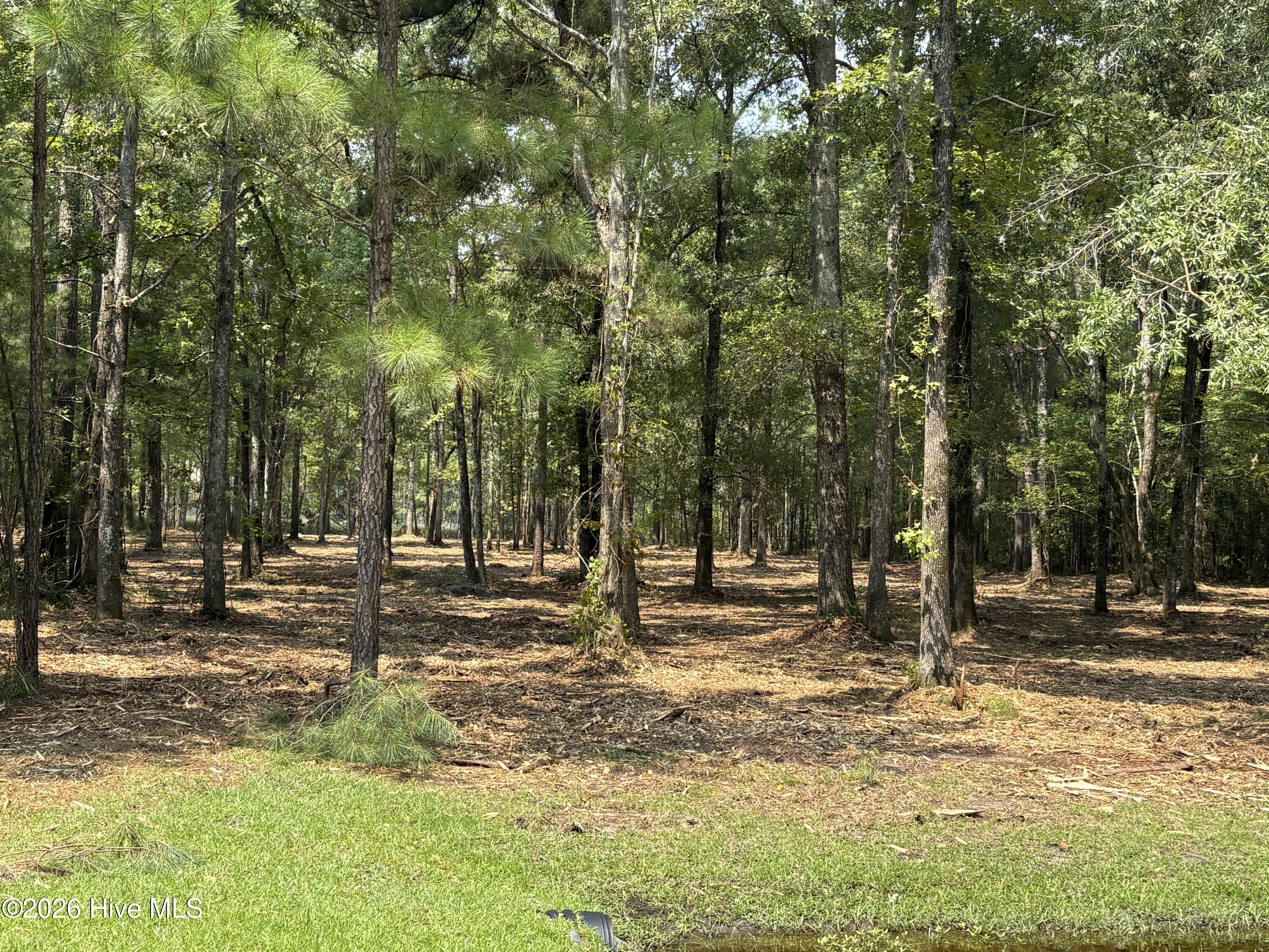 51-a Sunset Point Road Belhaven, NC 27810 - Photo 11 of 28 Gallery Image 11