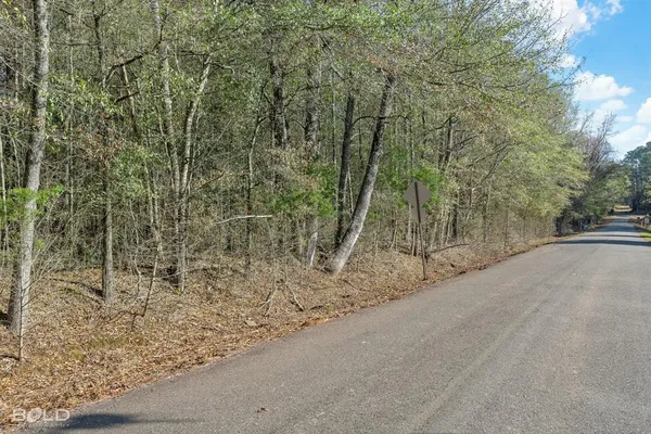 a view of a road with trees in the background