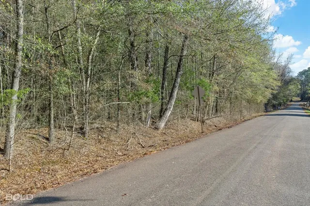 a view of a road with trees in the background