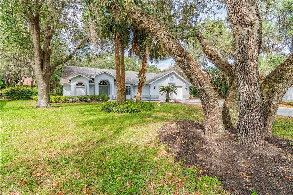 4435 Rachel Boulevard Spring Hill, FL 34607 - Photo 1 of 1 Street View