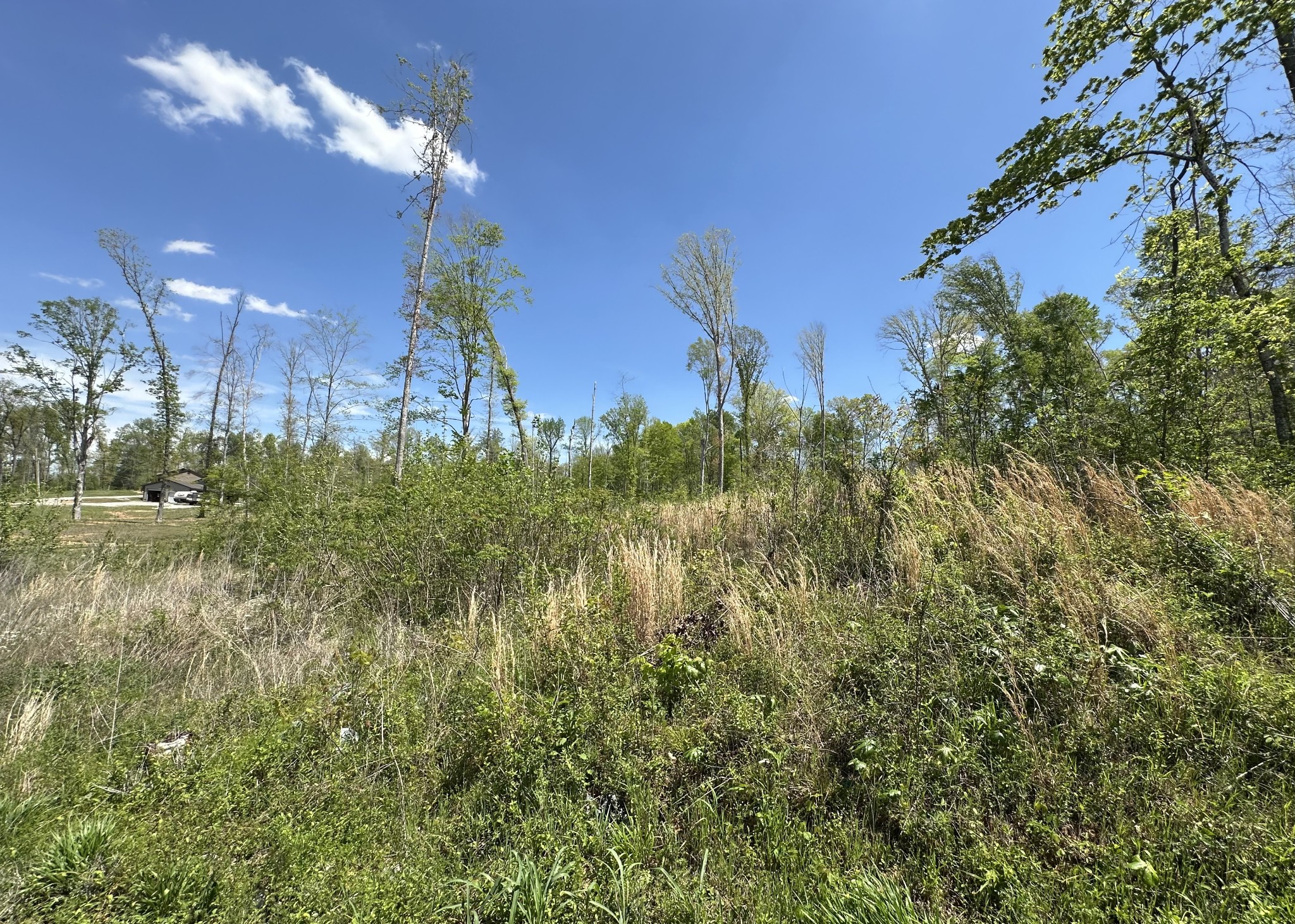 0 Murrell Road Dickson, TN 37055 - Photo 11 of 44