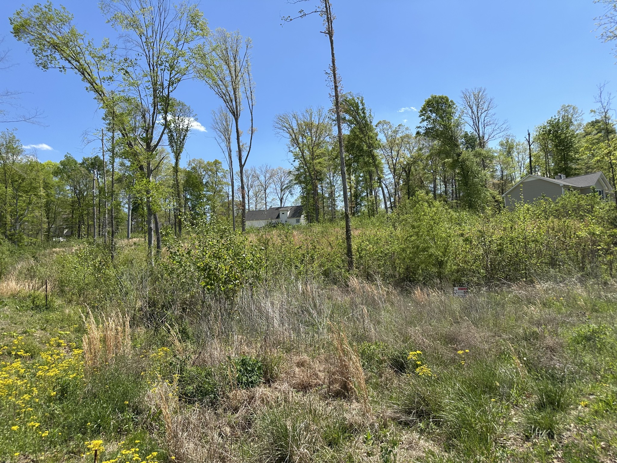 0 Murrell Road Dickson, TN 37055 - Photo 2 of 44