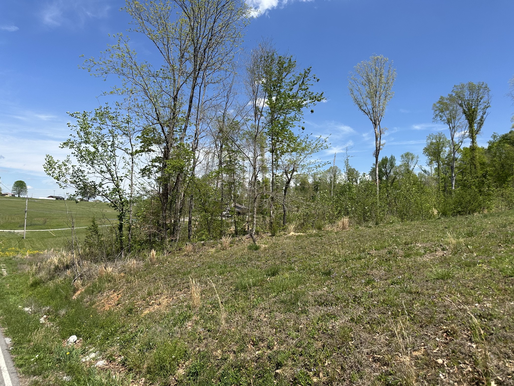 0 Murrell Road Dickson, TN 37055 - Photo 8 of 44