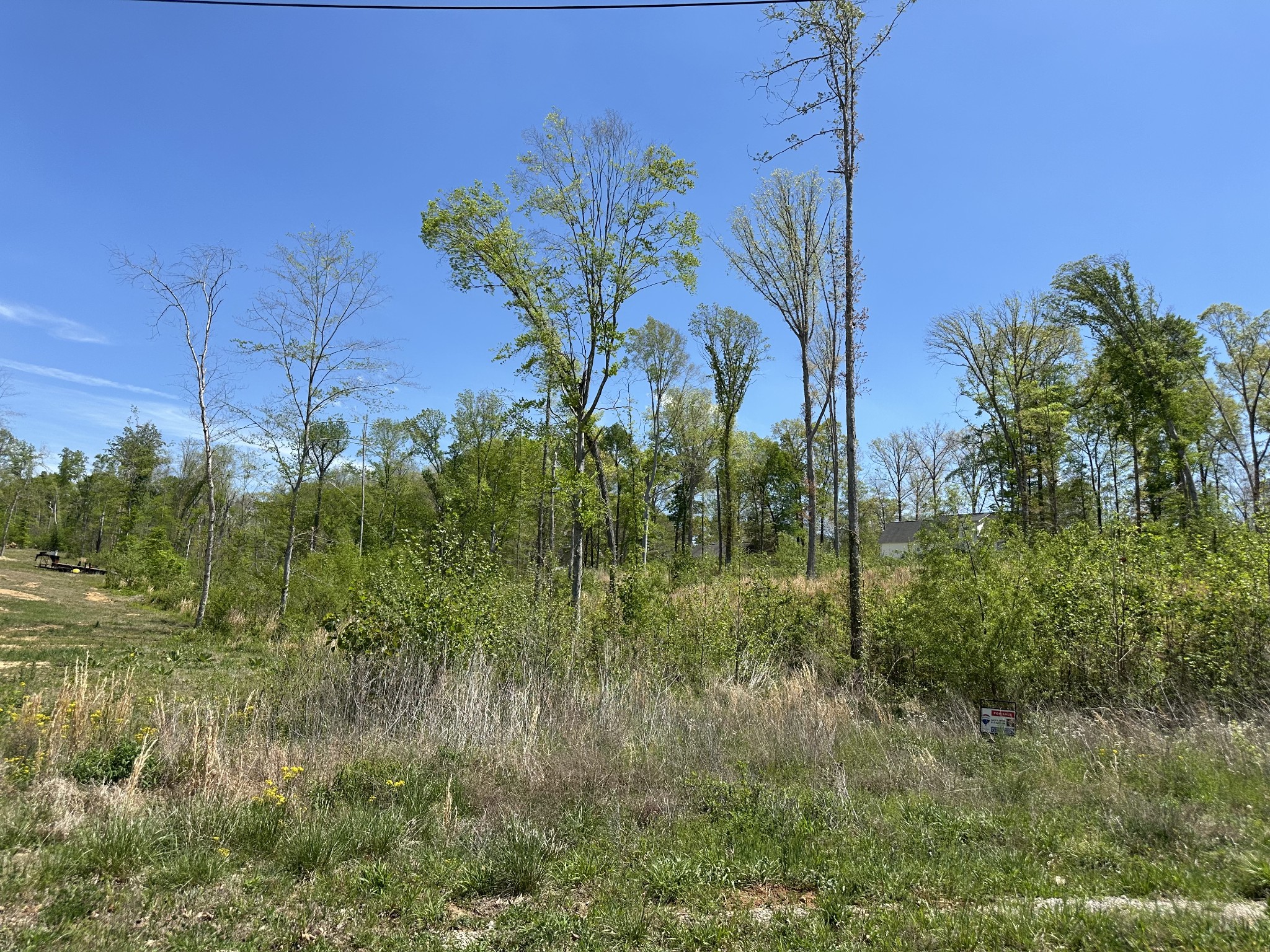 0 Murrell Road Dickson, TN 37055 - Photo 9 of 44