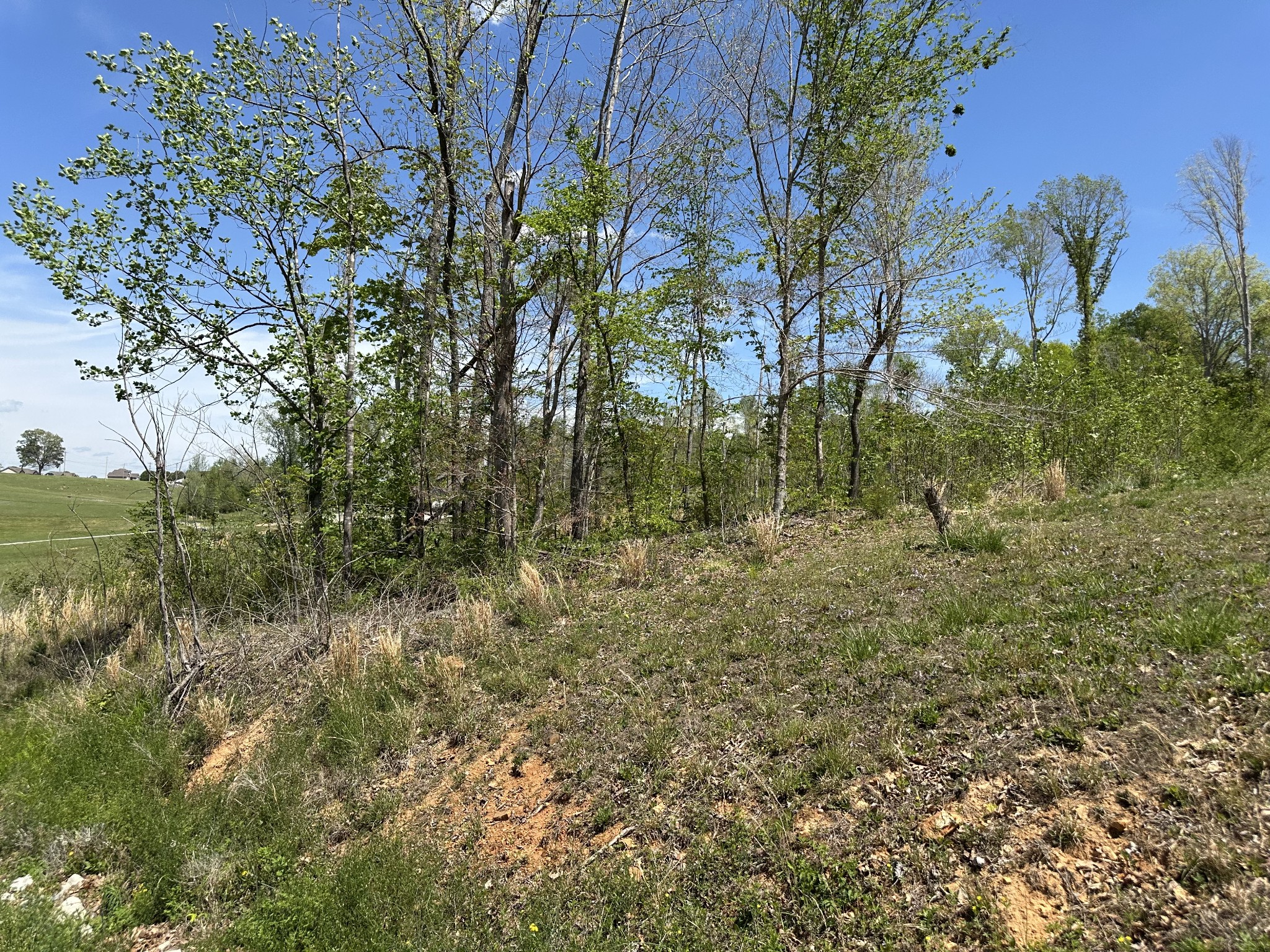 0 Murrell Road Dickson, TN 37055 - Photo 10 of 44