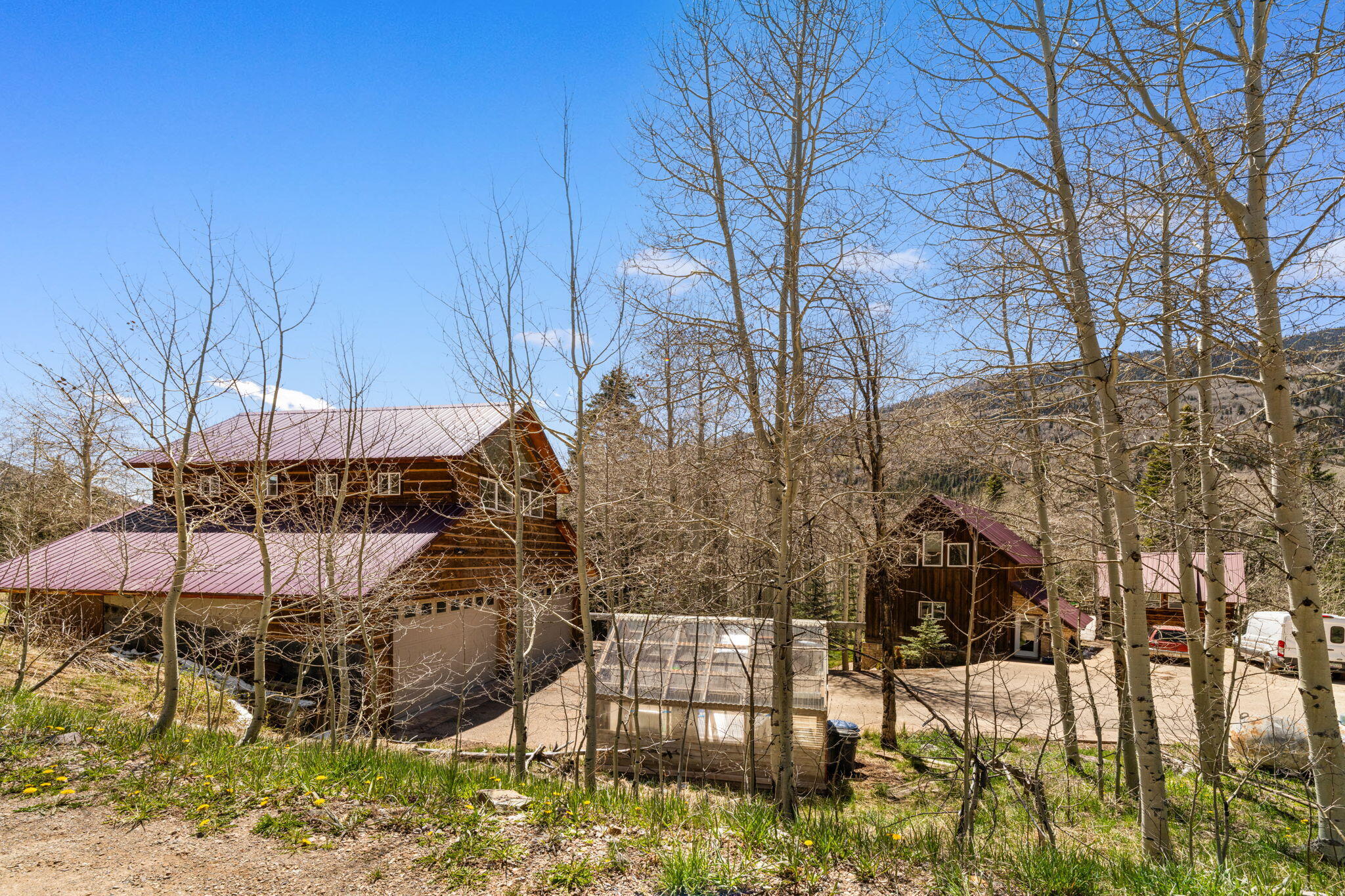 454 Silverglance Way Rico, CO 81332 - Photo 3 of 28 454 Silverglance