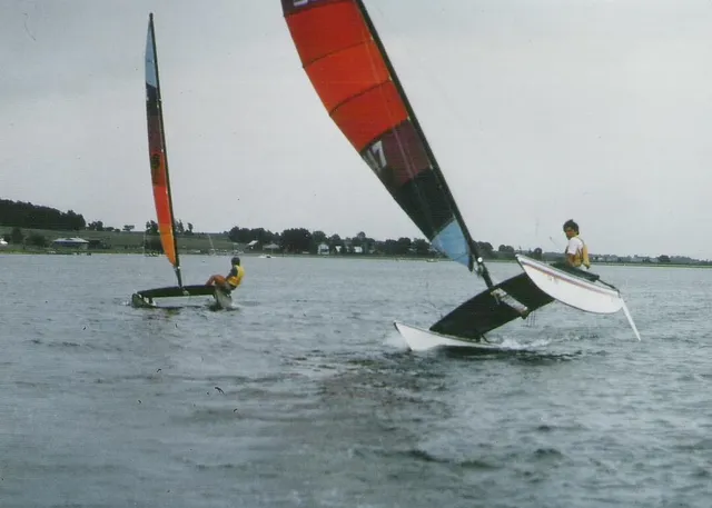 a view of a dry yard