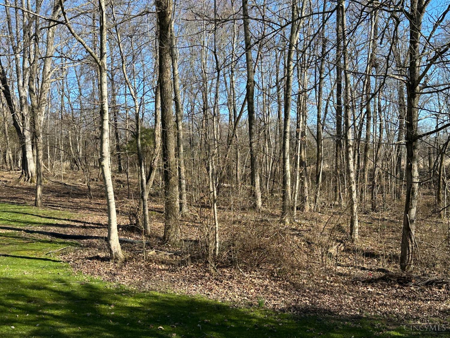 3960 Rapid Forge Road Bainbridge, OH 45612 - Photo 11 of 36