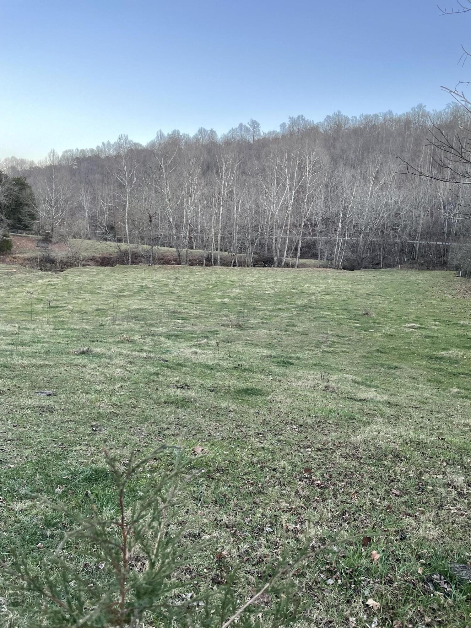 1300 Blue Springs Road Mount Vernon, KY 40456 - Photo 3 of 8 IMG_4046