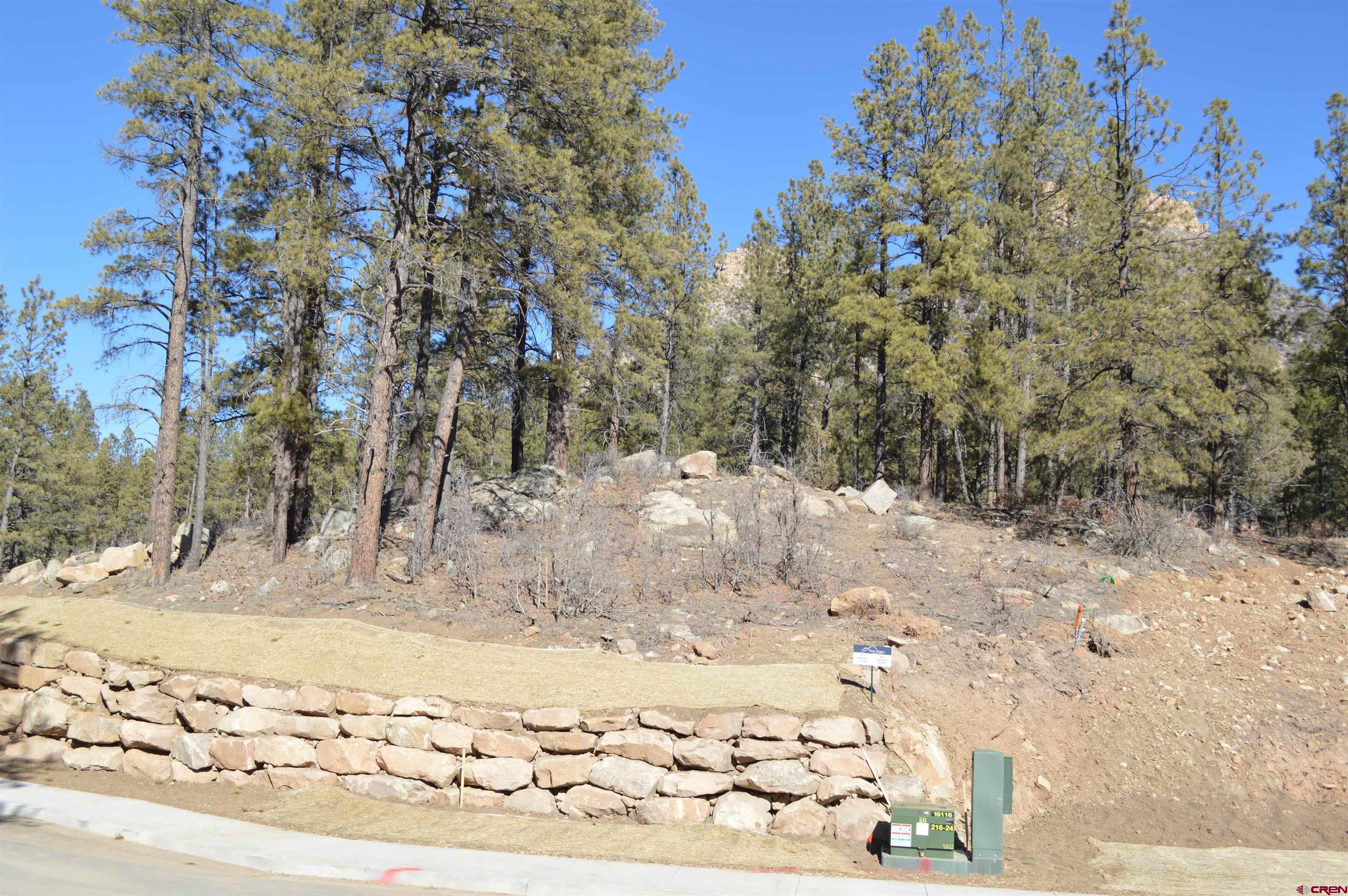 775 Tipple Avenue Durango, CO 81301 - Photo 3 of 20