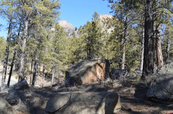 a view of a yard covered with snow
