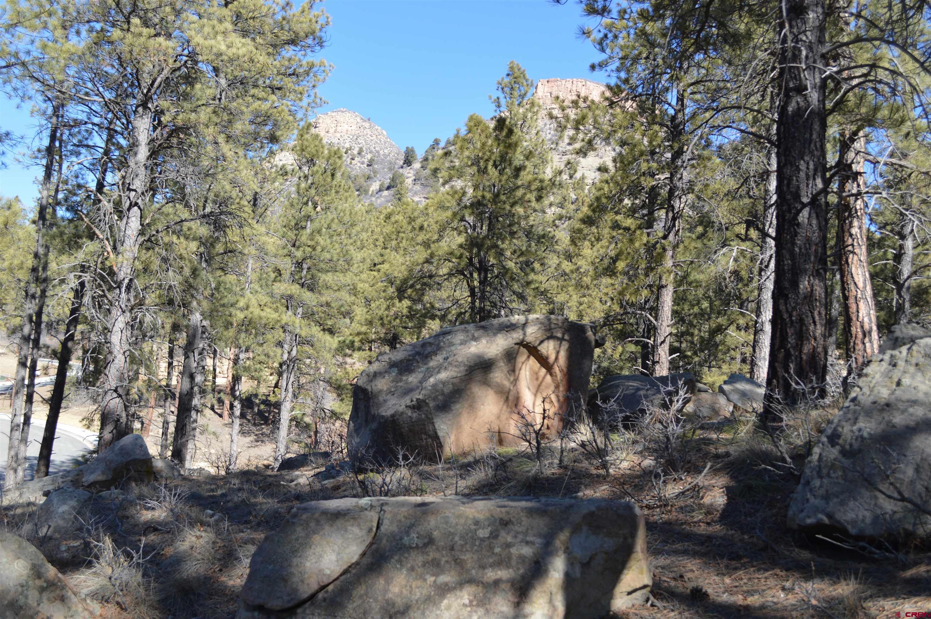 775 Tipple Avenue Durango, CO 81301 - Photo 5 of 20