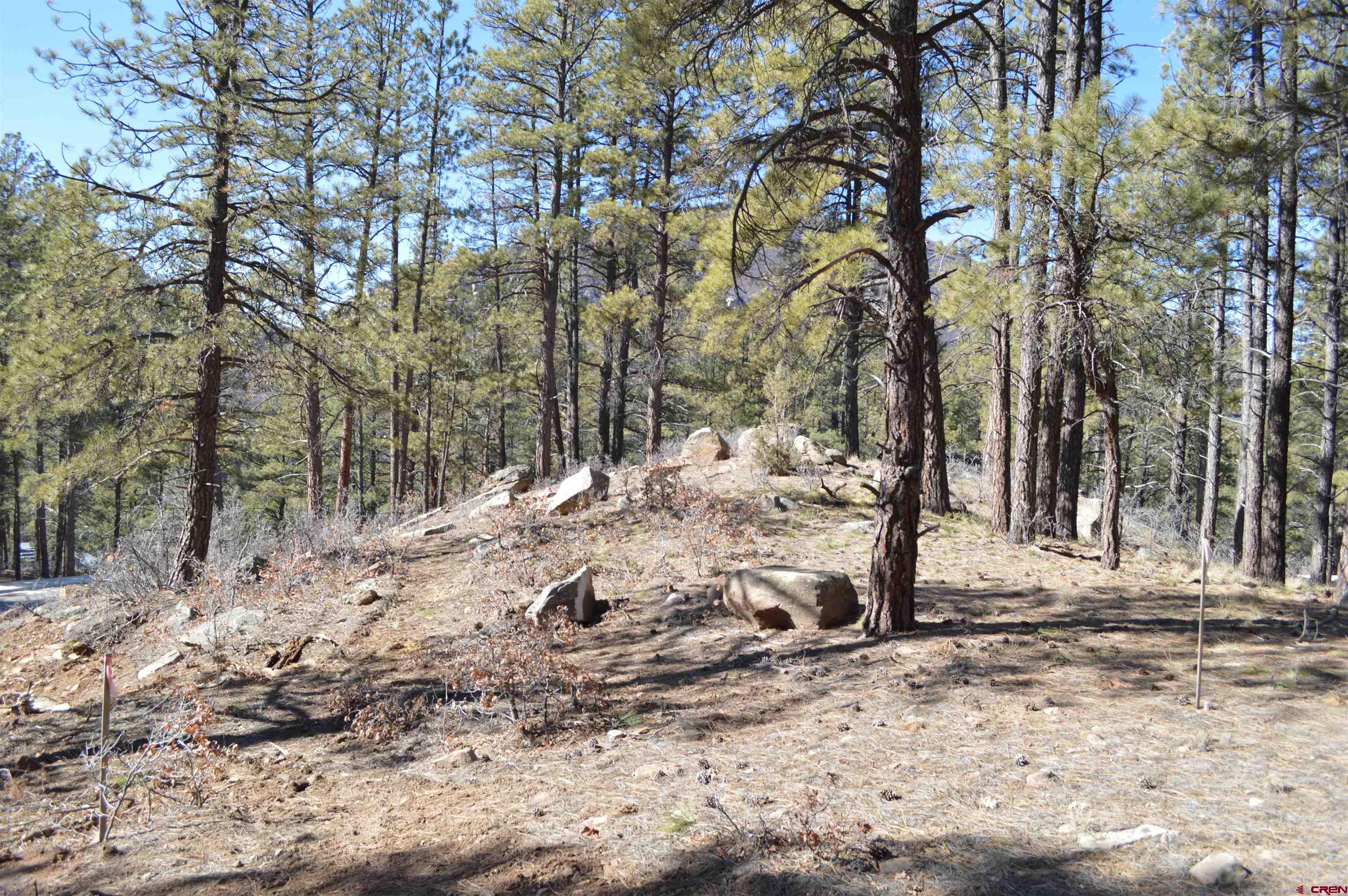 775 Tipple Avenue Durango, CO 81301 - Photo 6 of 20