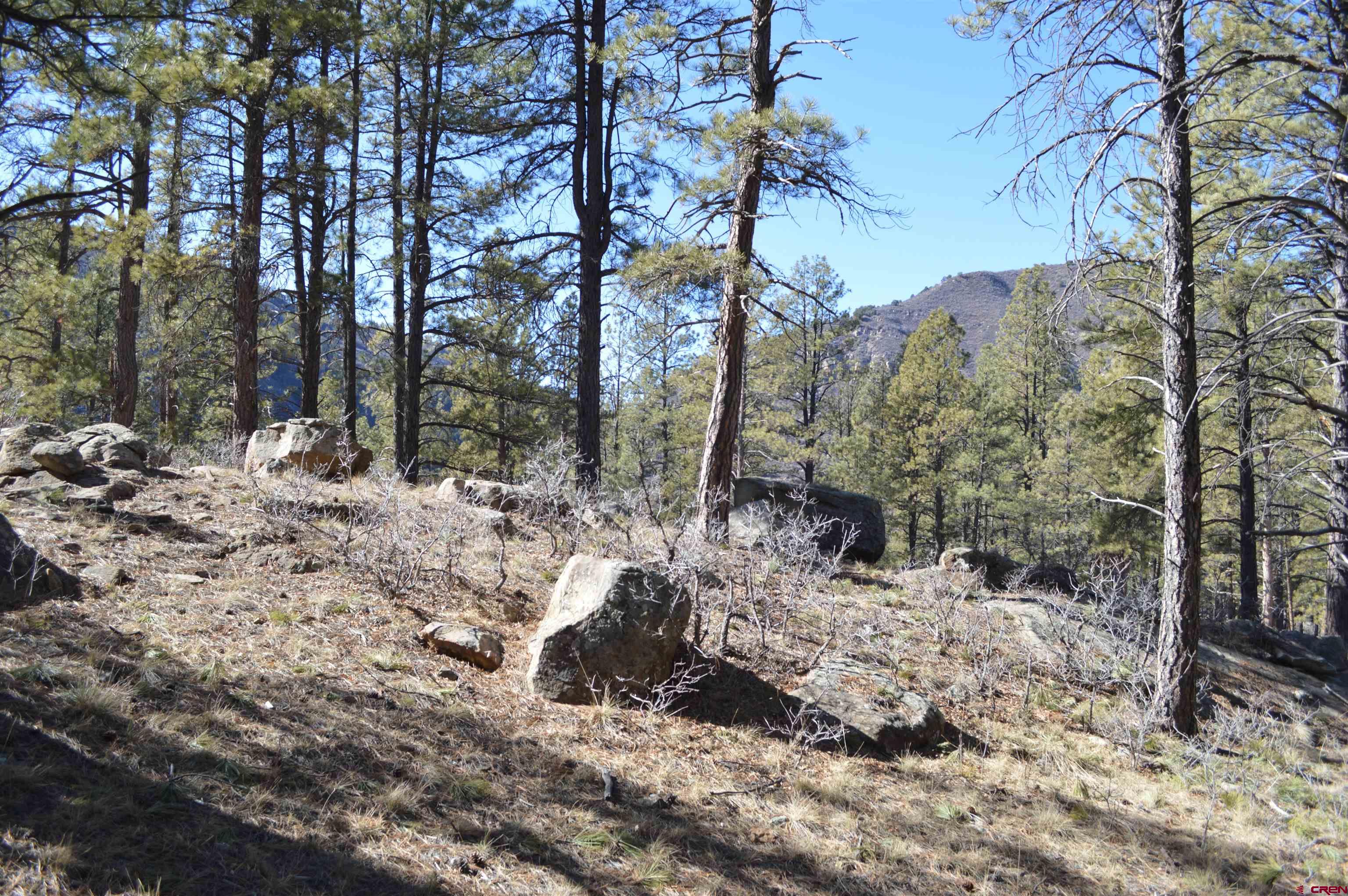 775 Tipple Avenue Durango, CO 81301 - Photo 7 of 20