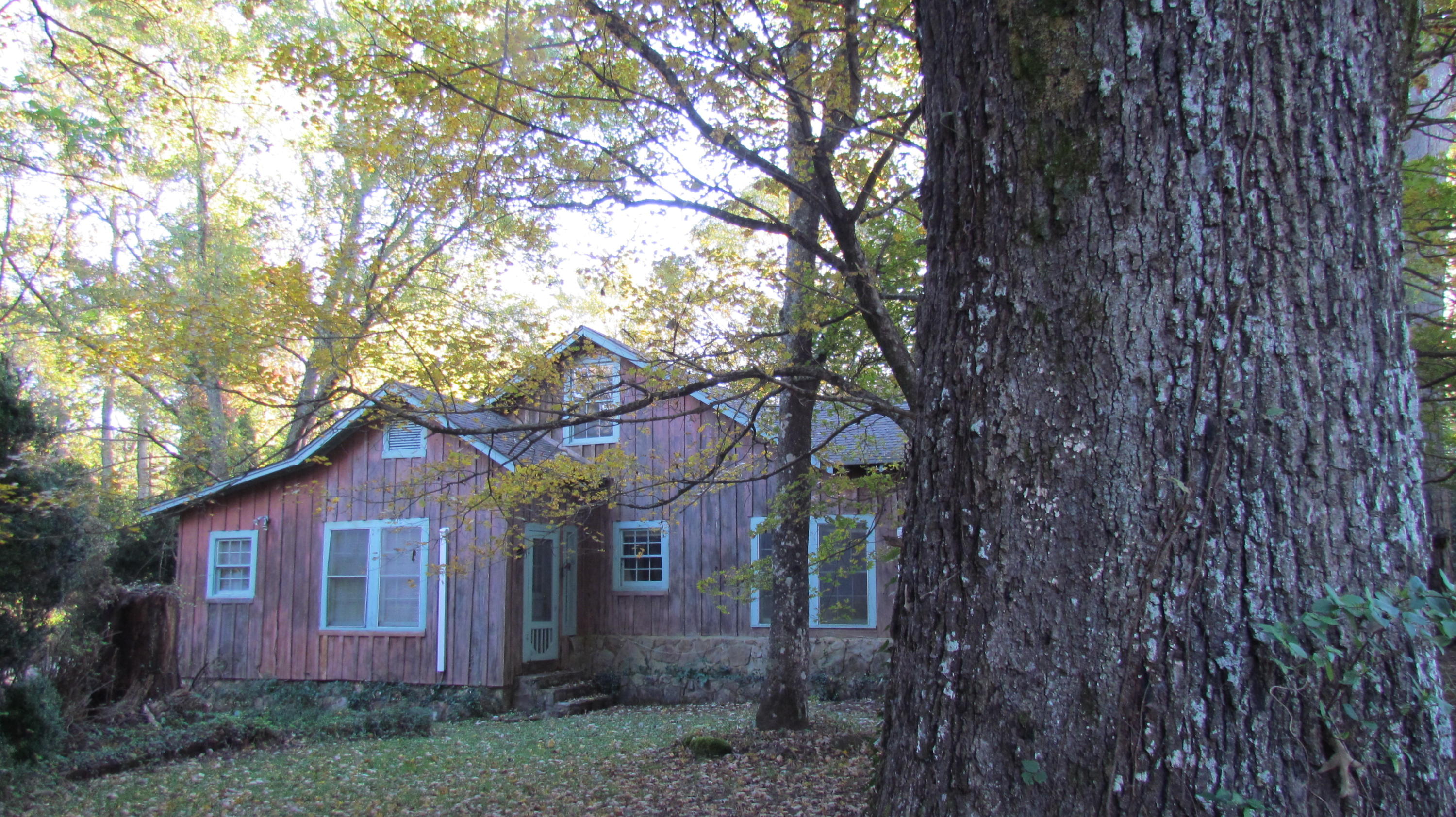 5515 East River Road Mentone, AL 35984 - Photo 6 of 69 IMG_0413