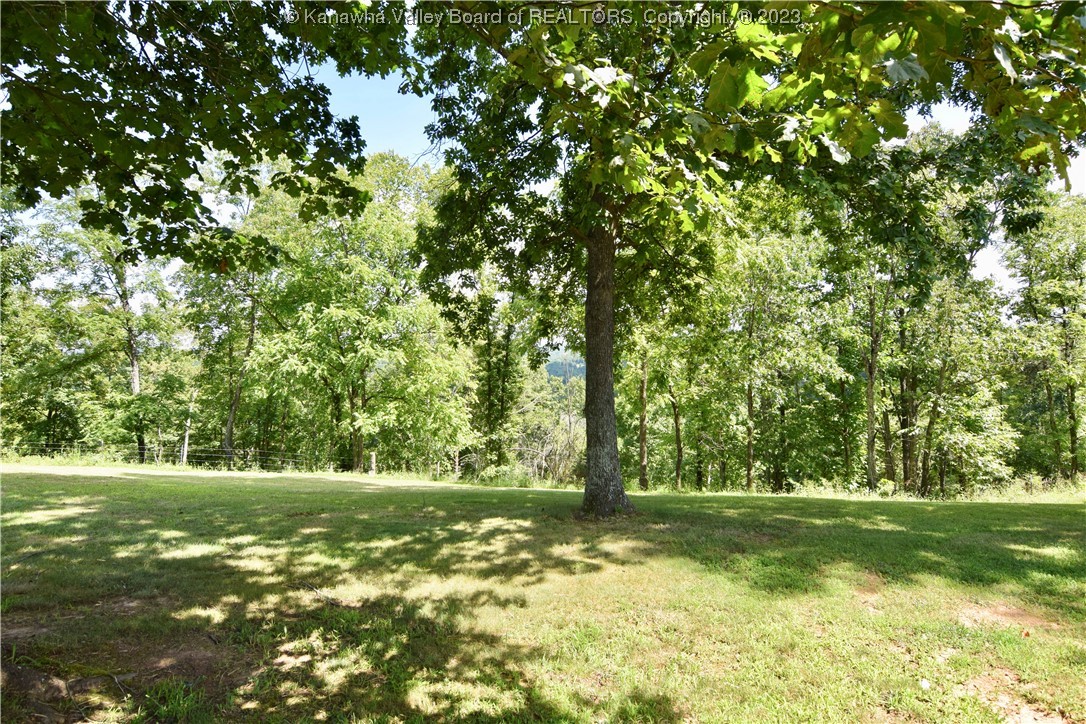 4643 Statts Mills Road Ripley, WV 25271 - Photo 18 of 41 Gallery Image 18