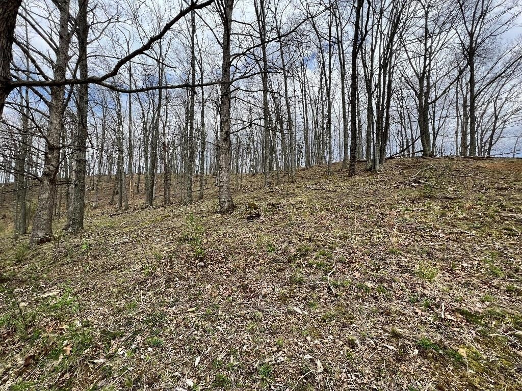 1733 Deephole Branch Road Genoa, WV 25517 - Photo 13 of 13 Gallery Image 13