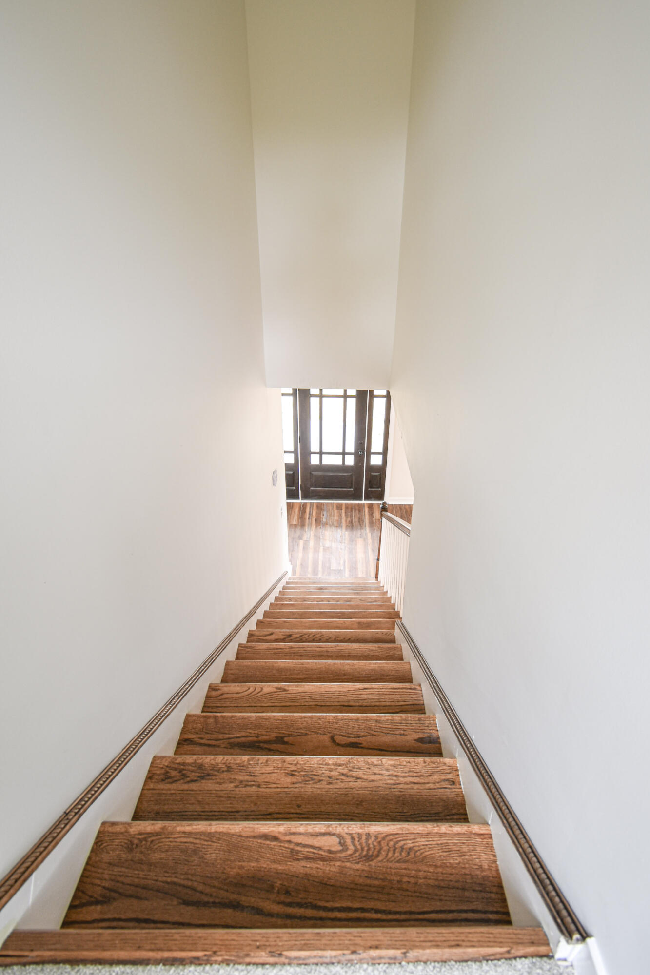 2239 Windsor Spring Road Augusta, GA 30906 - Photo 27 of 63 DSC_9908