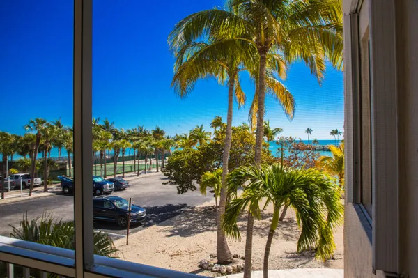 a view of a palm tree next to a yard