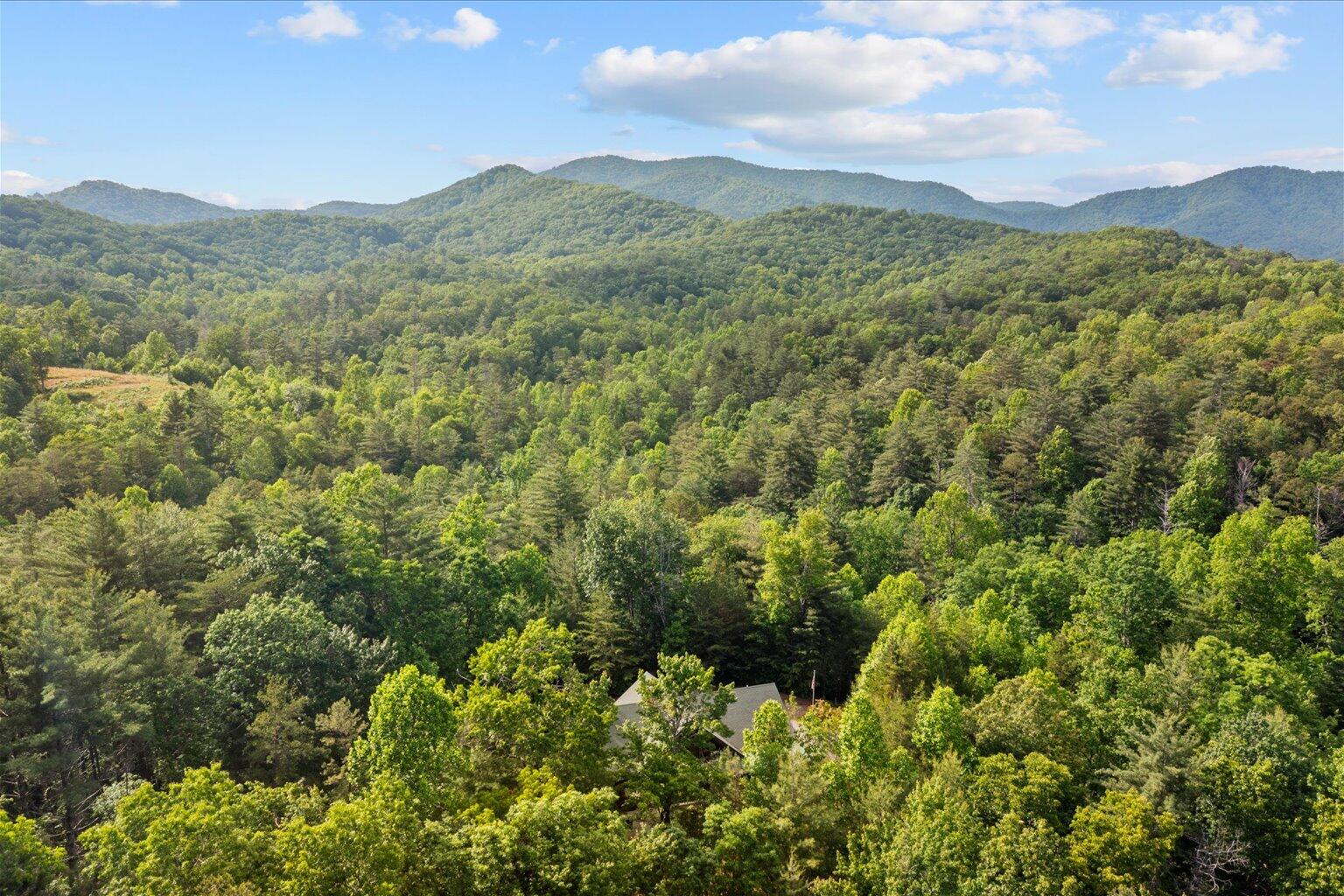 3691 Flagpole Road Ellijay, GA 30540 - Photo 3 of 52 03-3