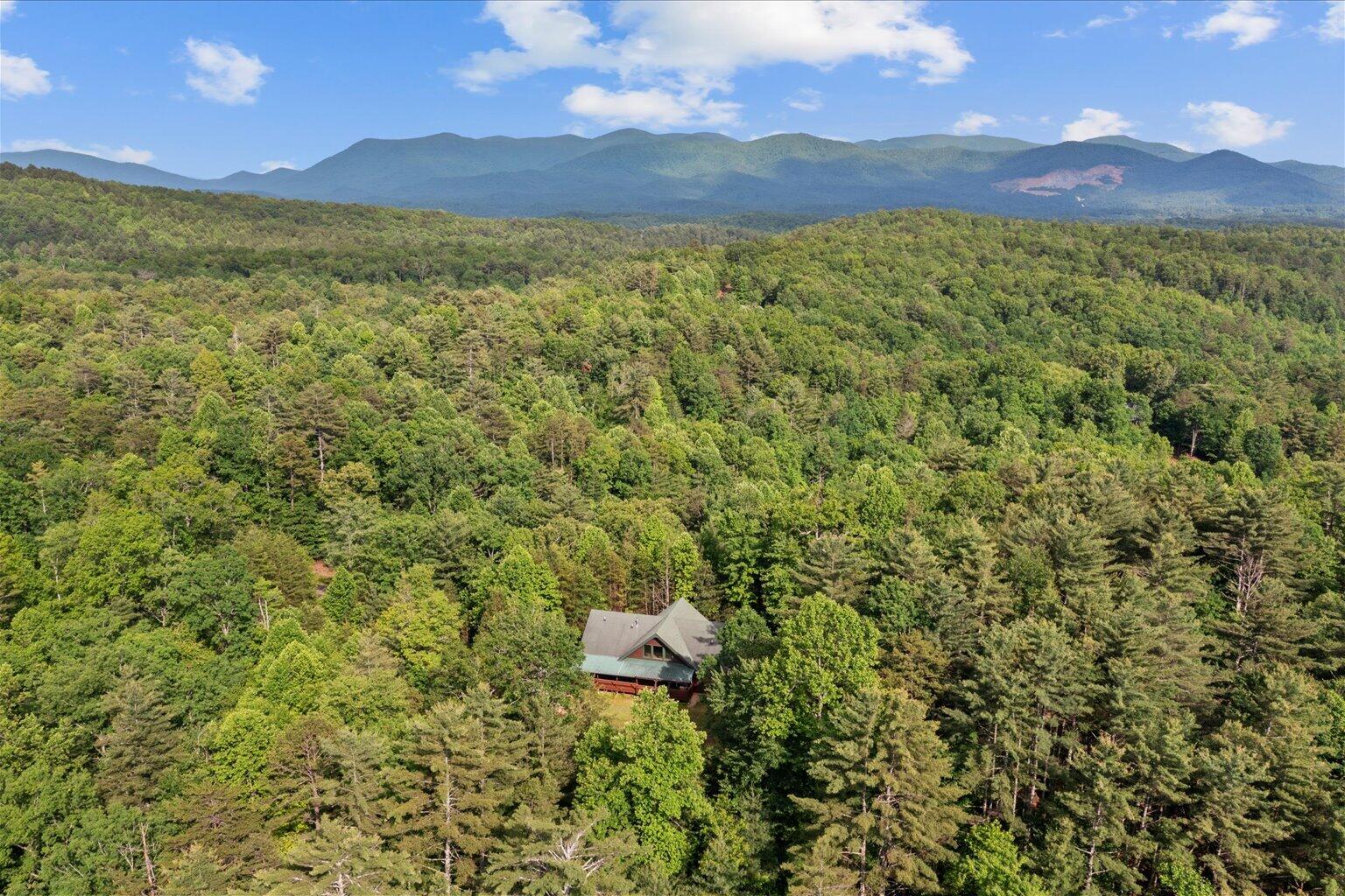 3691 Flagpole Road Ellijay, GA 30540 - Photo 4 of 52 04-4