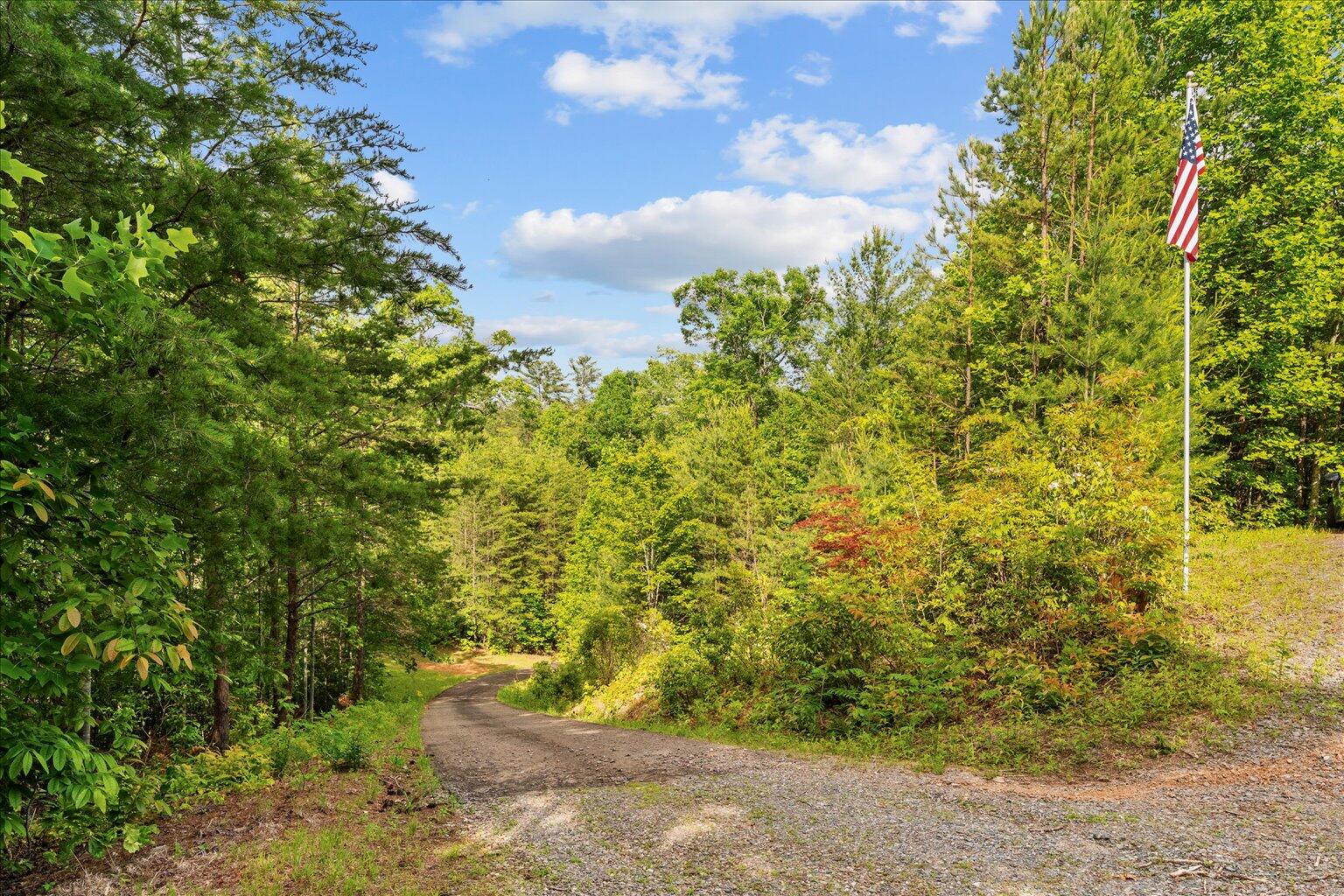 3691 Flagpole Road Ellijay, GA 30540 - Photo 44 of 52 44-44