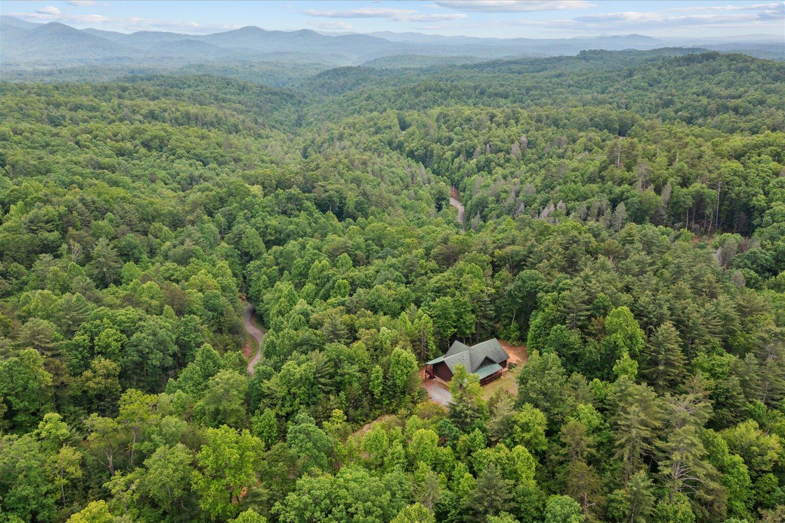3691 Flagpole Road Ellijay, GA 30540 - Photo 46 of 52 46-46