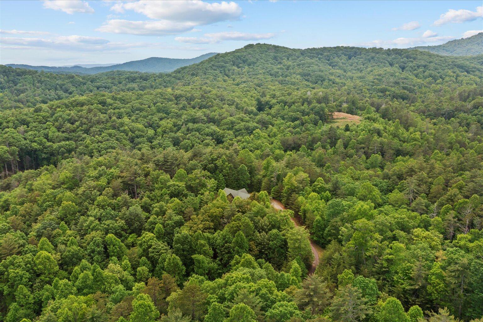 3691 Flagpole Road Ellijay, GA 30540 - Photo 47 of 52 47-47
