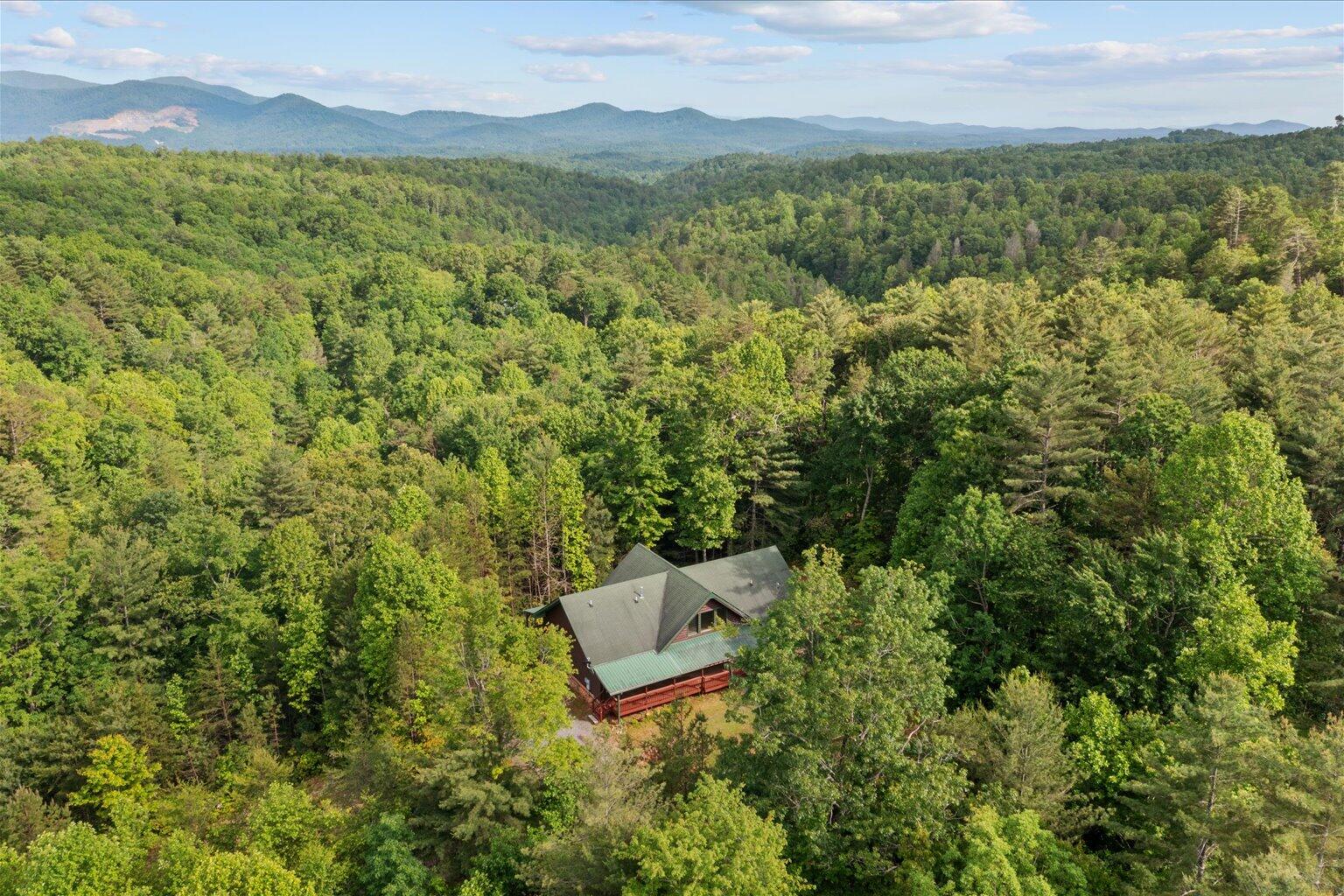 3691 Flagpole Road Ellijay, GA 30540 - Photo 49 of 52 49-49
