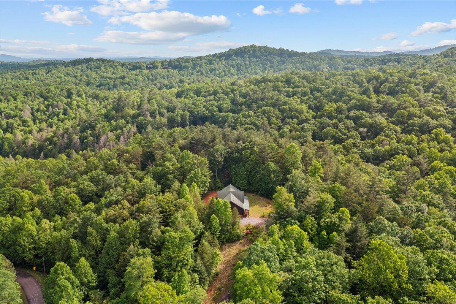 3691 Flagpole Road Ellijay, GA 30540 - Photo 50 of 52 50-50