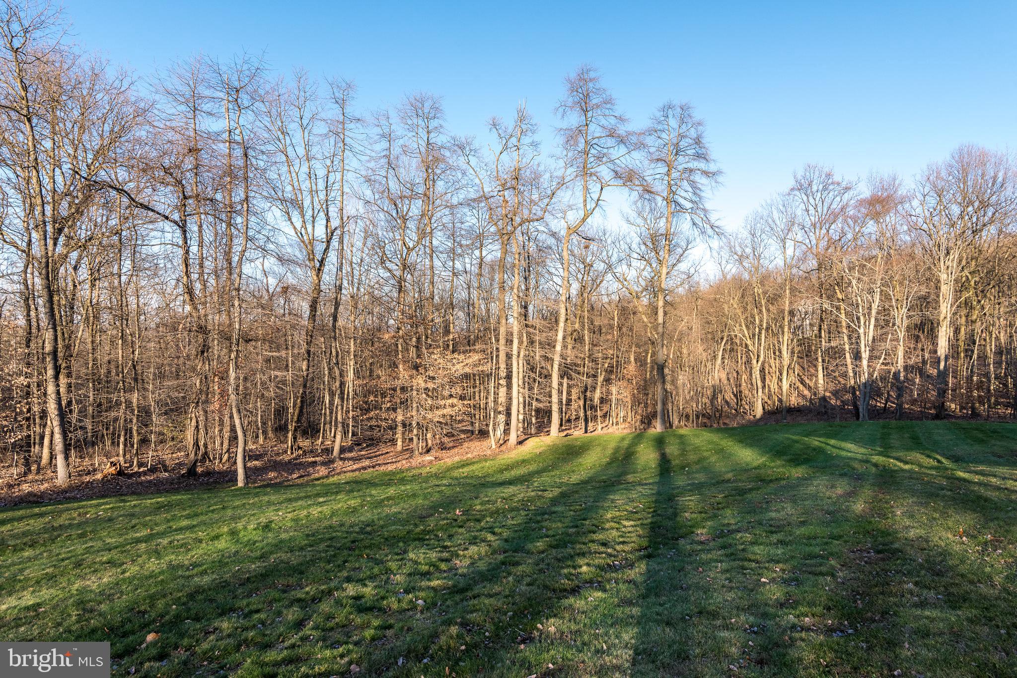 309 Quaker Hill Road Morgantown, PA 19543 - Photo 41 of 43 View of Back Yard
