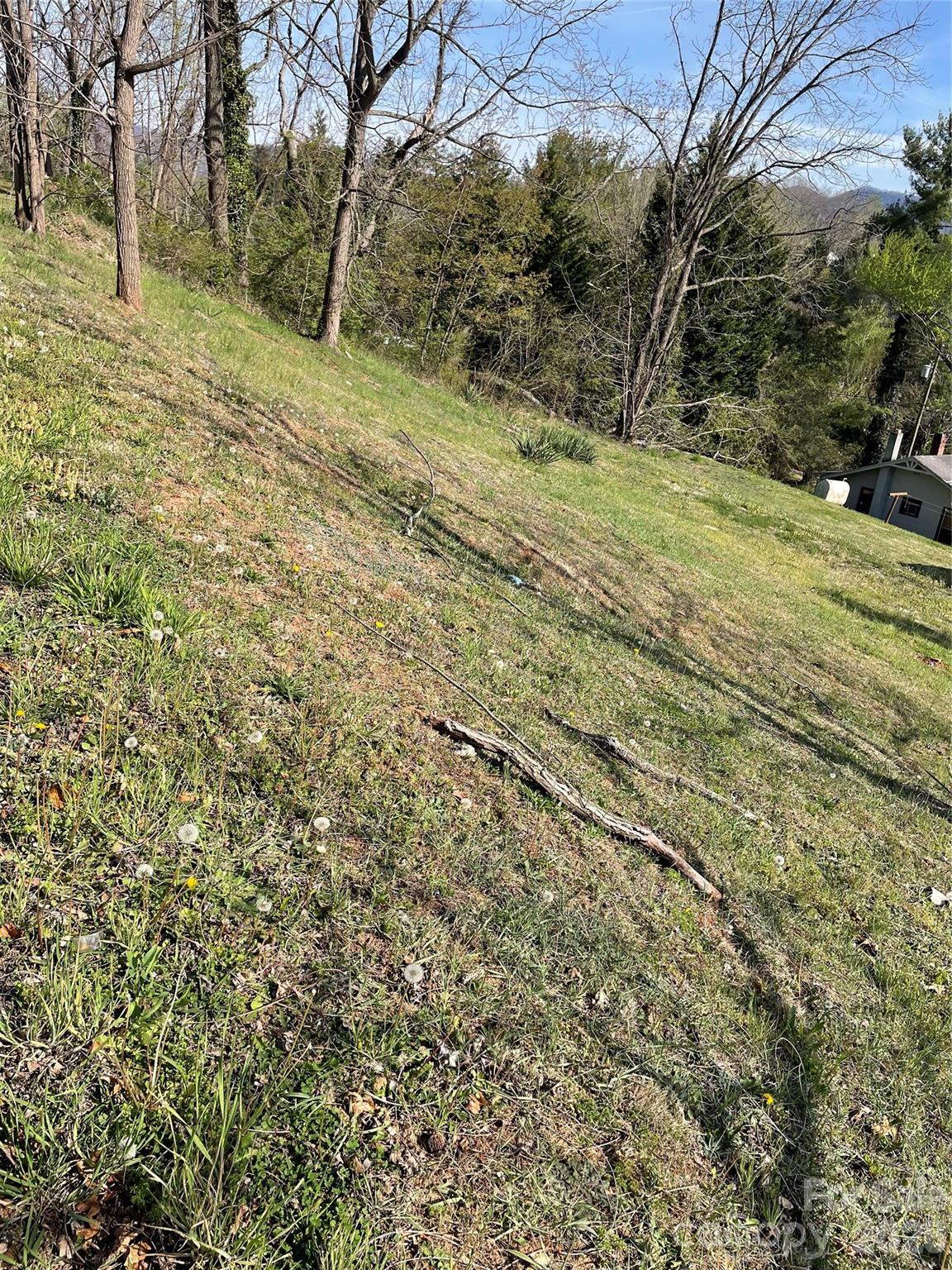 0 Locust Street Canton, NC 28716 - Photo 2 of 5