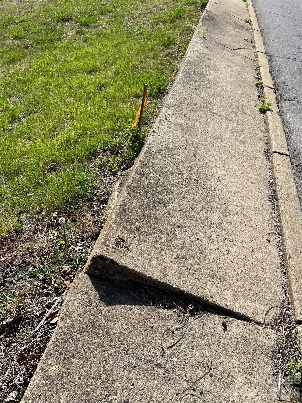 0 Locust Street Canton, NC 28716 - Photo 3 of 5