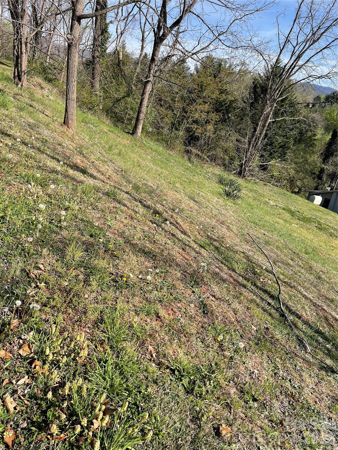 0 Locust Street Canton, NC 28716 - Photo 4 of 5