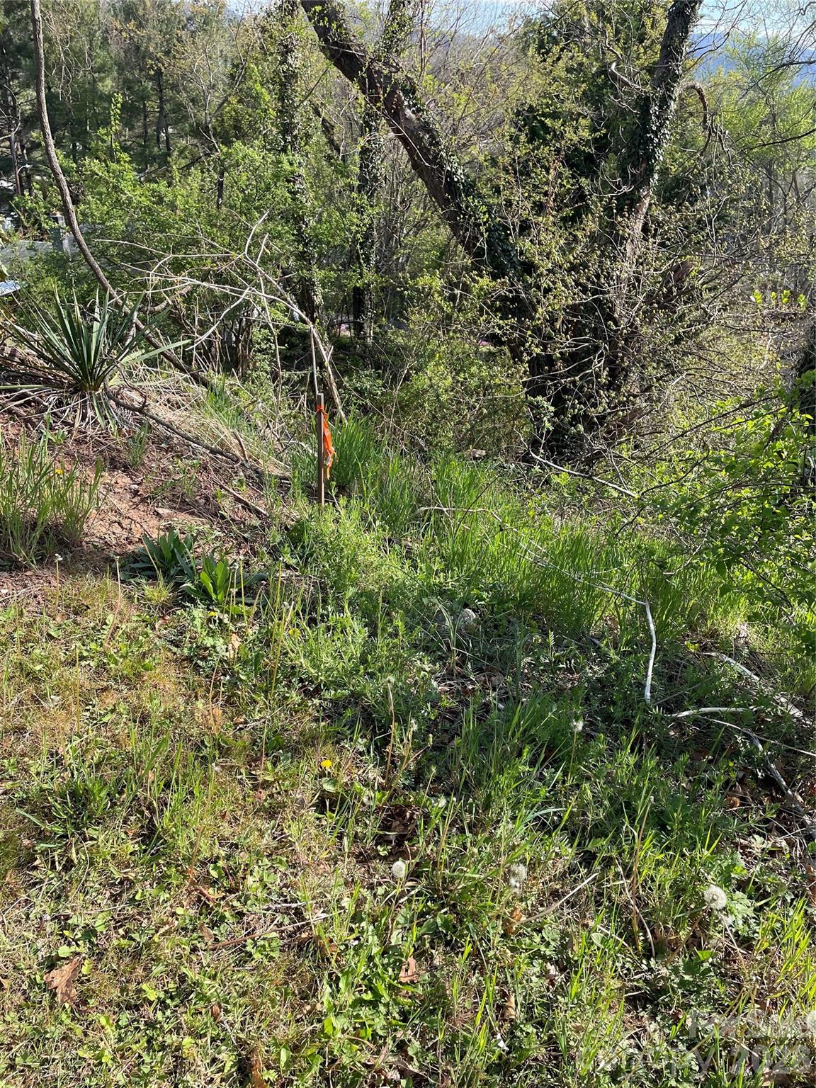 0 Locust Street Canton, NC 28716 - Photo 5 of 5