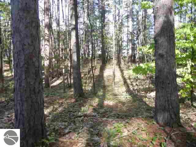 9579 Winter Road Williamsburg, MI 49690 - Photo 16 of 21 1727425-15.JPG