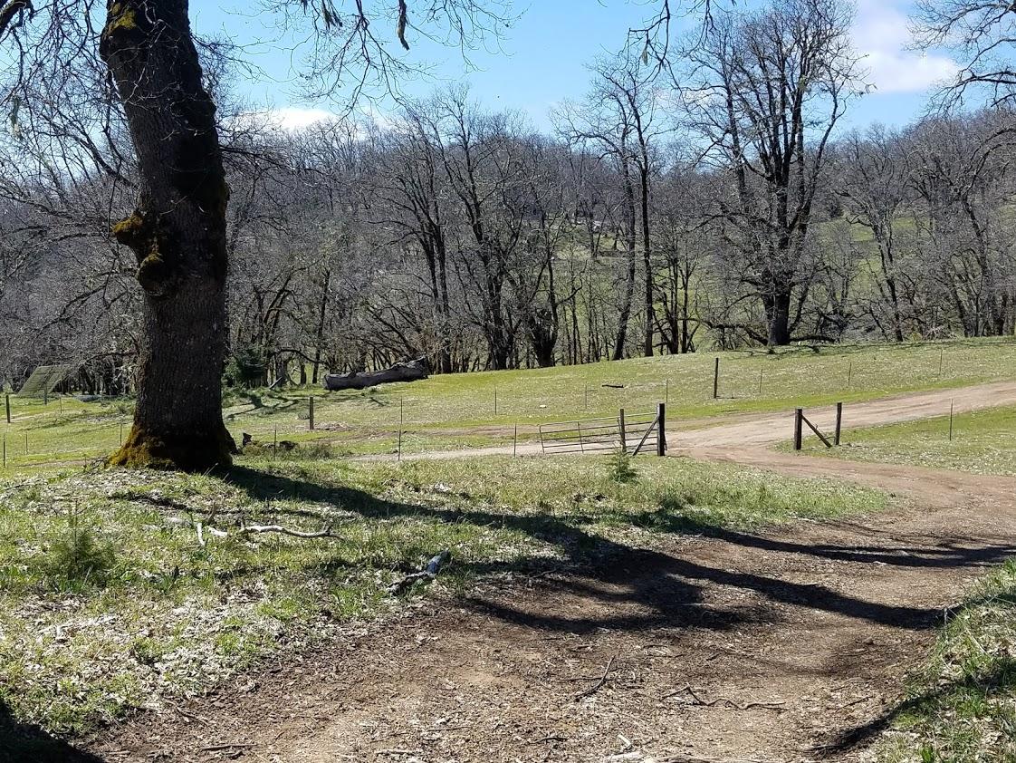 0 Rattlesnake Ridge Road Bridgeville, CA 95526 - Photo 8 of 21