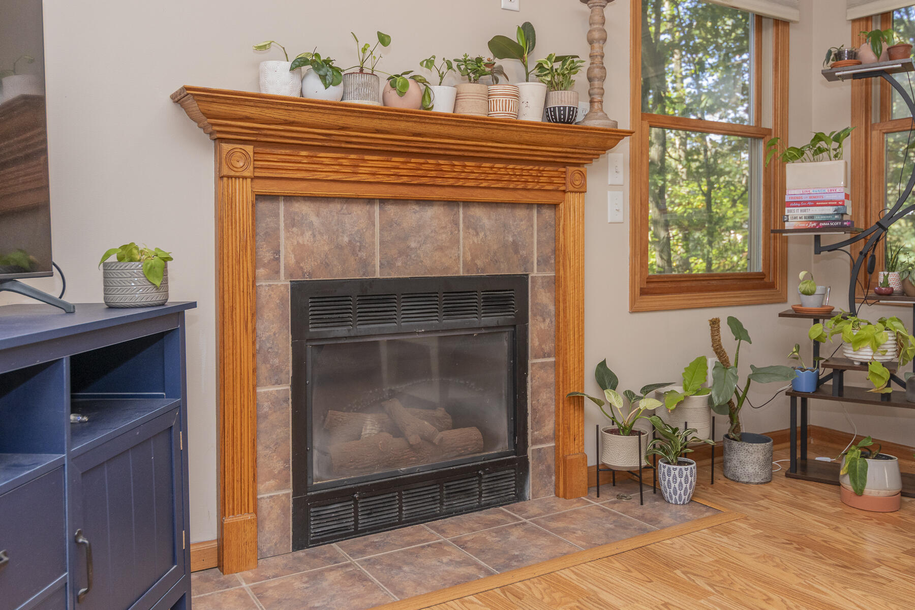 3894 Whitney Court Kalamazoo, MI 49009 - Photo 4 of 45 3894Whitney-37