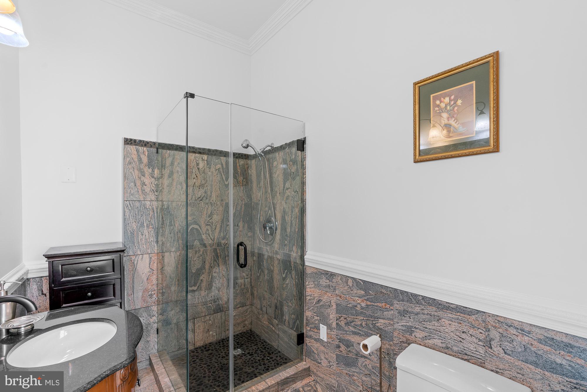 712 Swan Creek Road Fort Washington, MD 20744 - Photo 60 of 73 main level master suite full bath