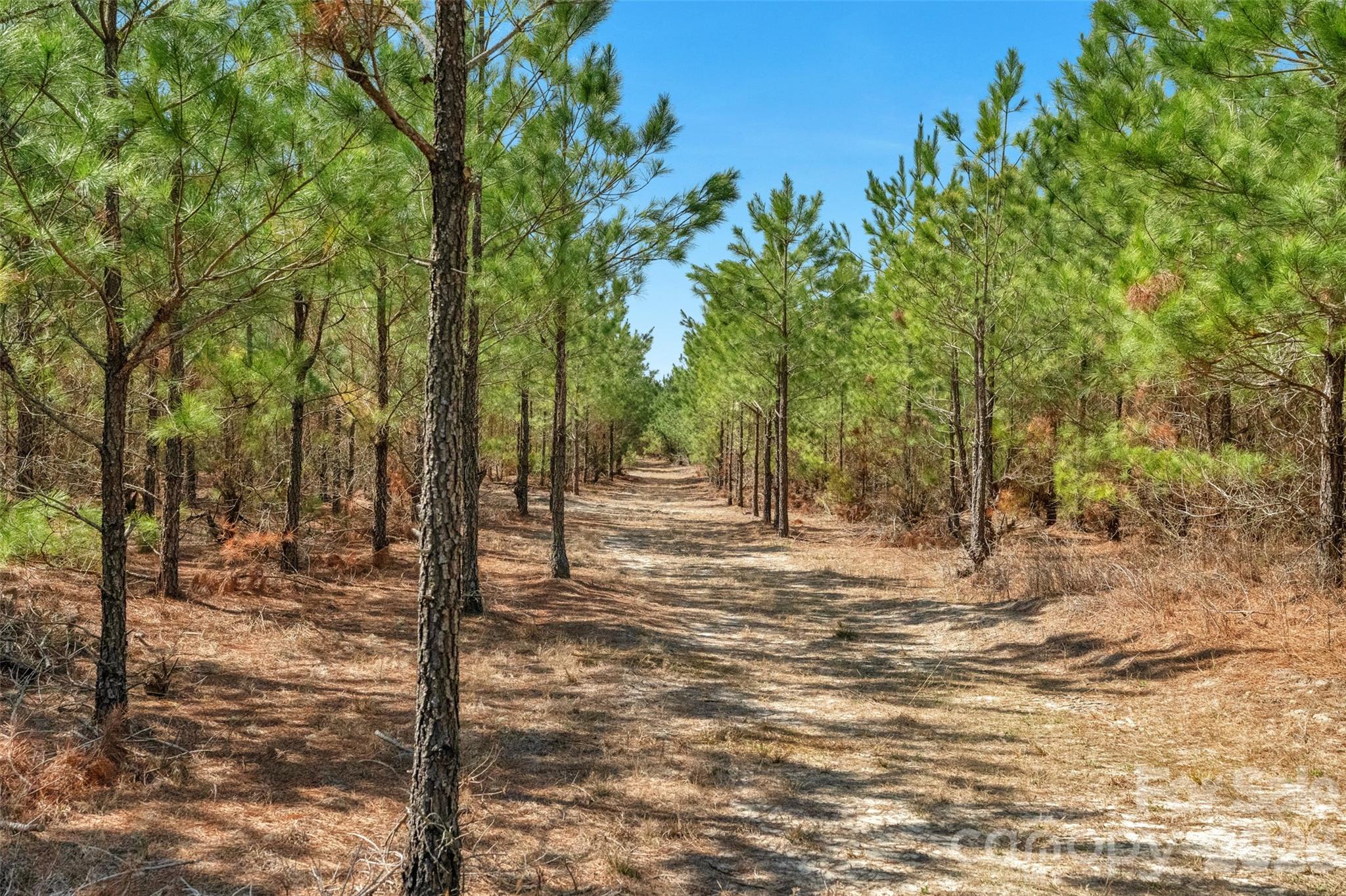 931 Charlie Johnson Road, Unit 2 Kershaw, SC 29067 - Photo 30 of 35