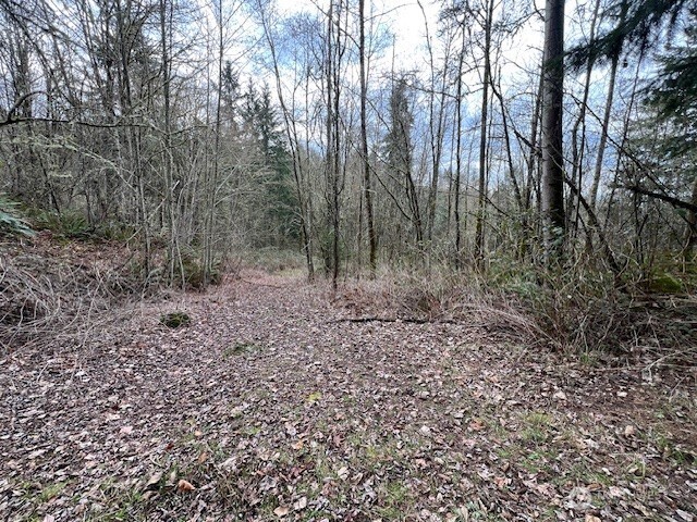 318 Martins Bluff Road Kalama, WA 98625 - Photo 13 of 23 Gallery Image 13