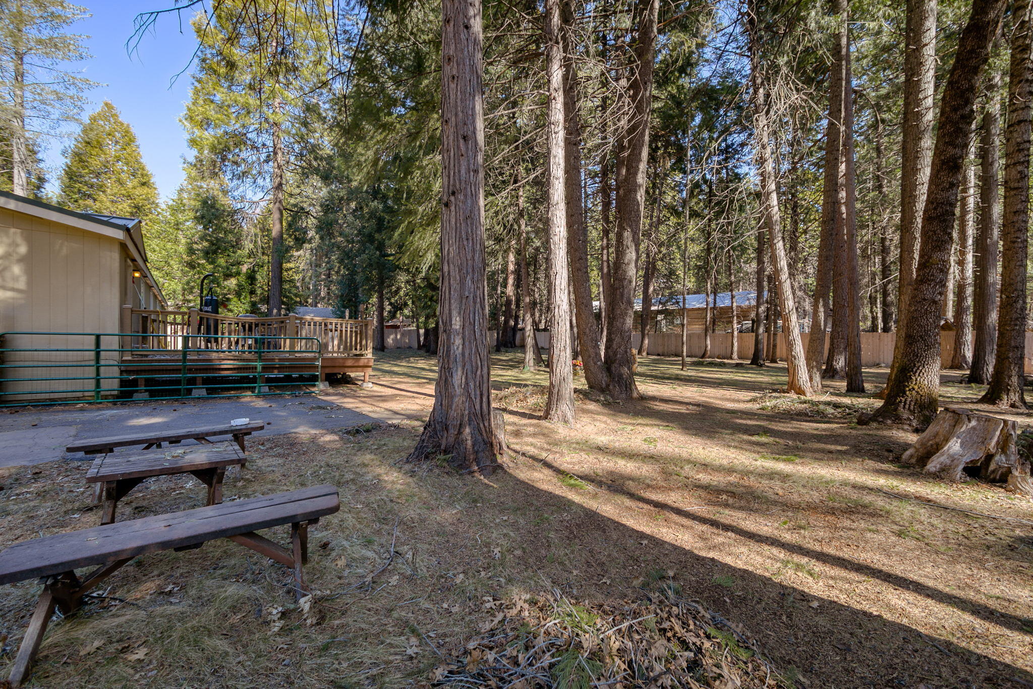 8003 Starlite Pines Road Shingletown, CA 96088 - Photo 42 of 49 5-web-or-mls-HV7A1639