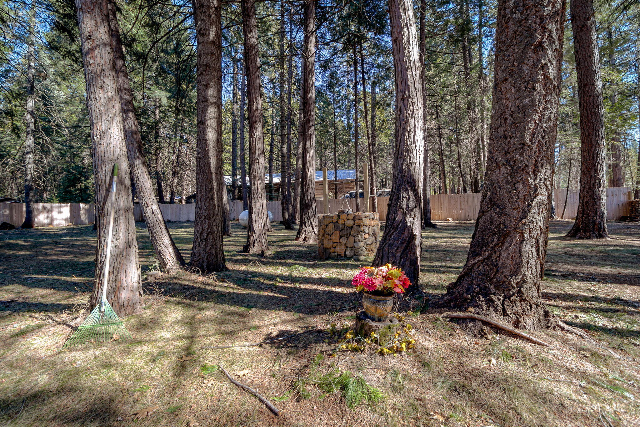 8003 Starlite Pines Road Shingletown, CA 96088 - Photo 49 of 49 13-web-or-mls-HV7A1714