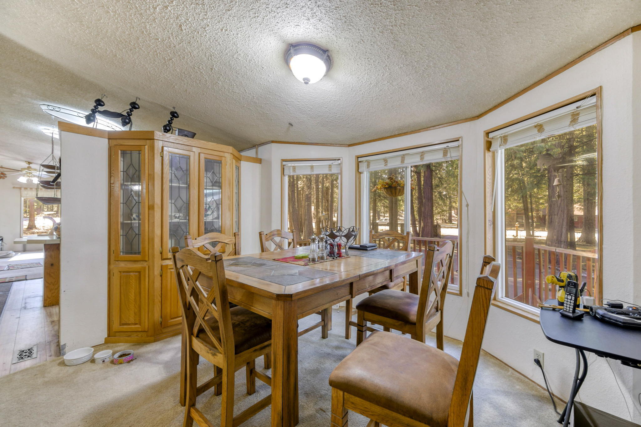8003 Starlite Pines Road Shingletown, CA 96088 - Photo 6 of 49 25-web-or-mls-HV7A1797