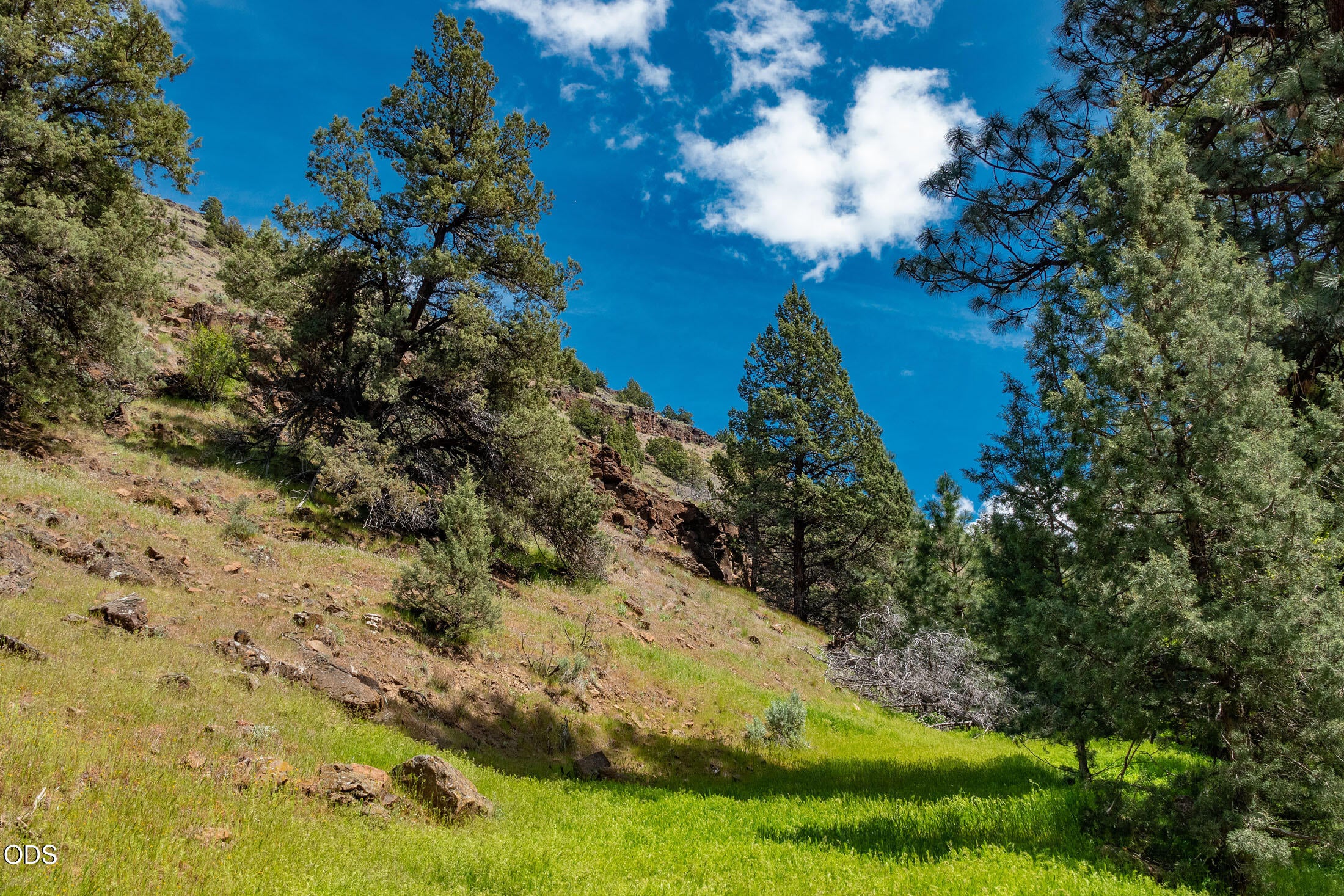 0 Rudio Road Kimberly, OR 97848 - Photo 17 of 24 Gallery Image 17