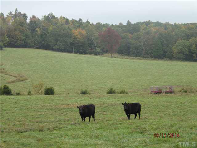 840 Gilliland Road Siler City, NC 27344 - Photo 11 of 20