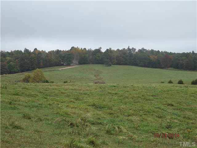 840 Gilliland Road Siler City, NC 27344 - Photo 4 of 20