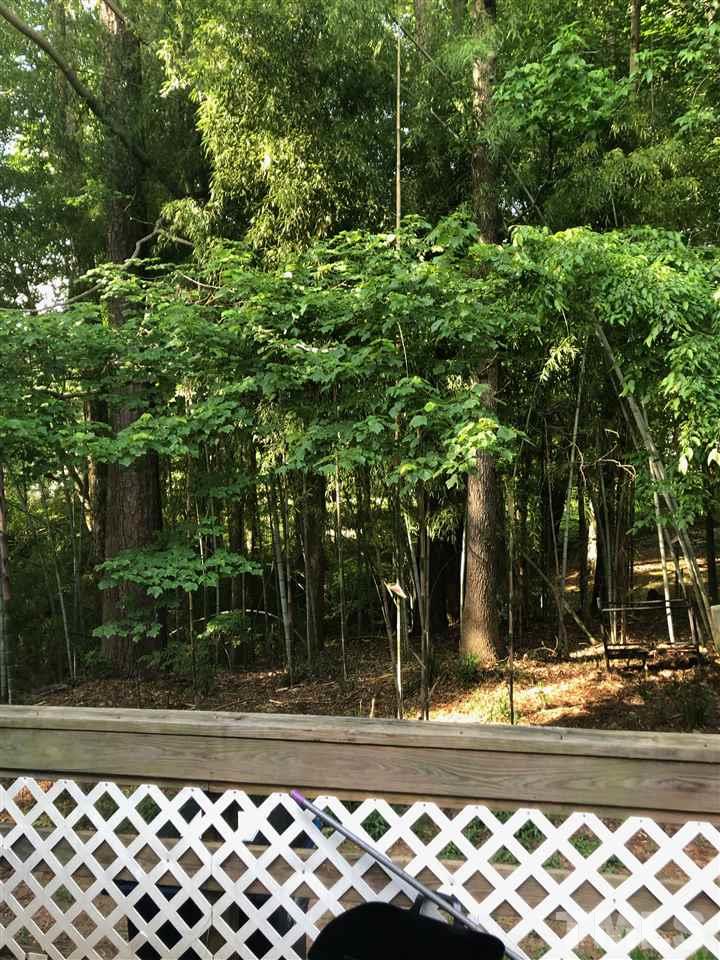 1328 Springlawn Court Raleigh, NC 27609 - Photo 4 of 6 a view of a yard and tree in front of it
